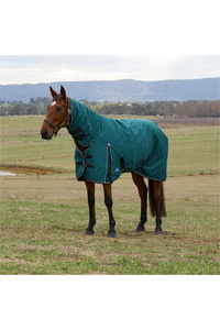 2025 WeatherBeeta Comfitec Classic Turnout Combo 1029069 - Forest Green